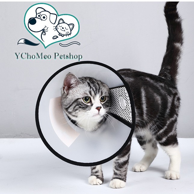 Loa Chống Liếm Thuốc - Vòng Đeo Cổ Chống Liếm Cho Chó Mèo Thú Cưng - YCHOMEO