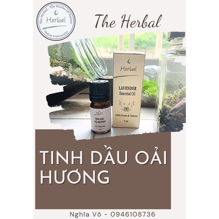 Tinh Dầu Oải Hương