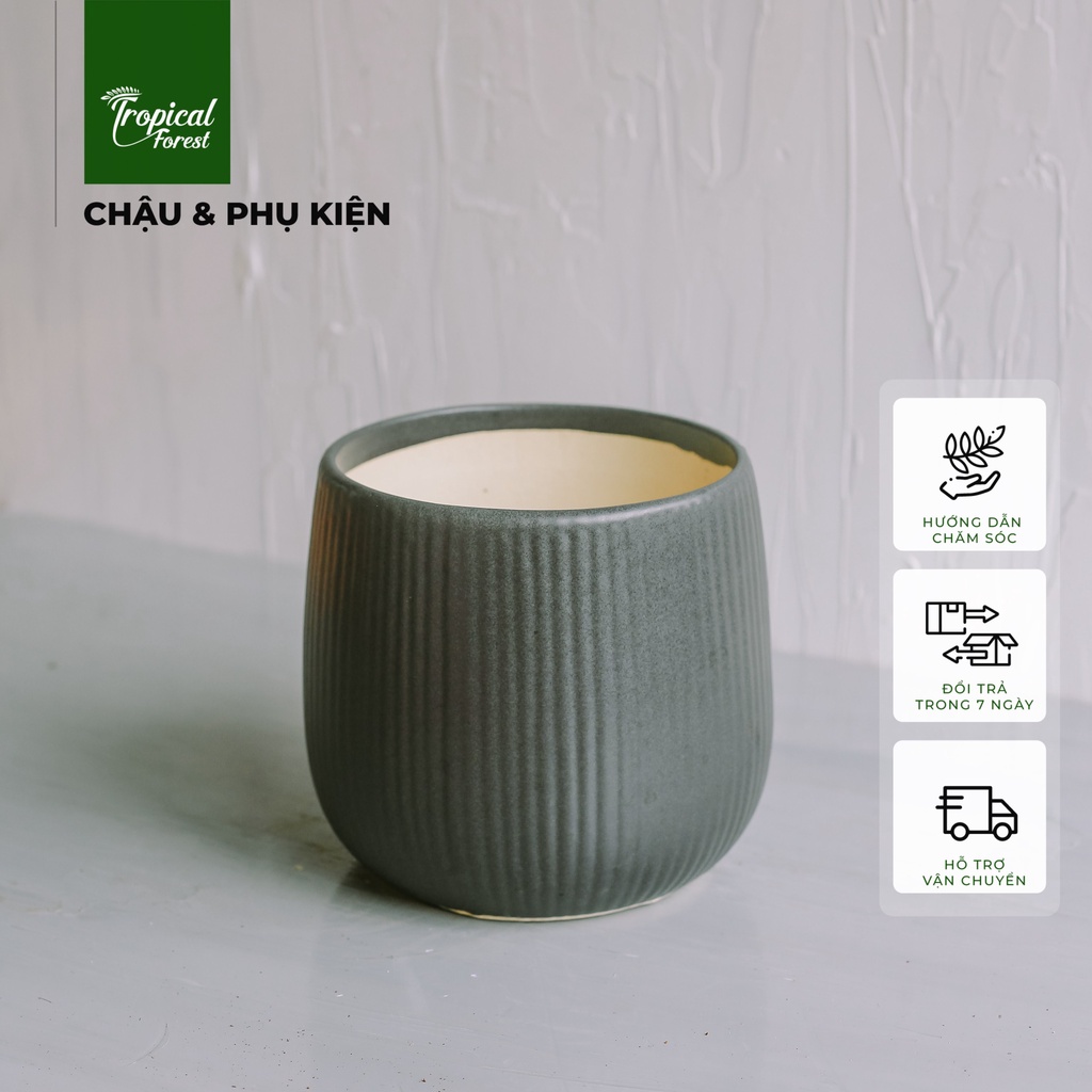 Chậu gốm trồng cây để bàn hoạ tiết quả lê TROPICAL FOREST