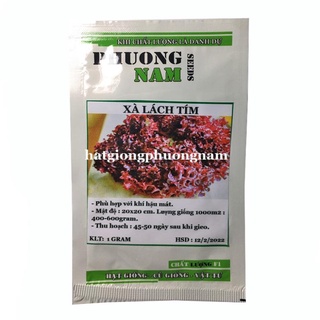 0,5GR - HẠT GIỐNG XÀ LÁCH TÍM