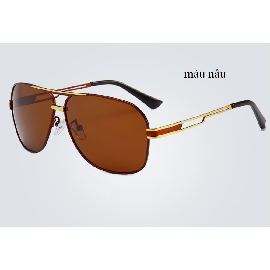 Mắt kính nam Shy Bird 8978 cao cấp