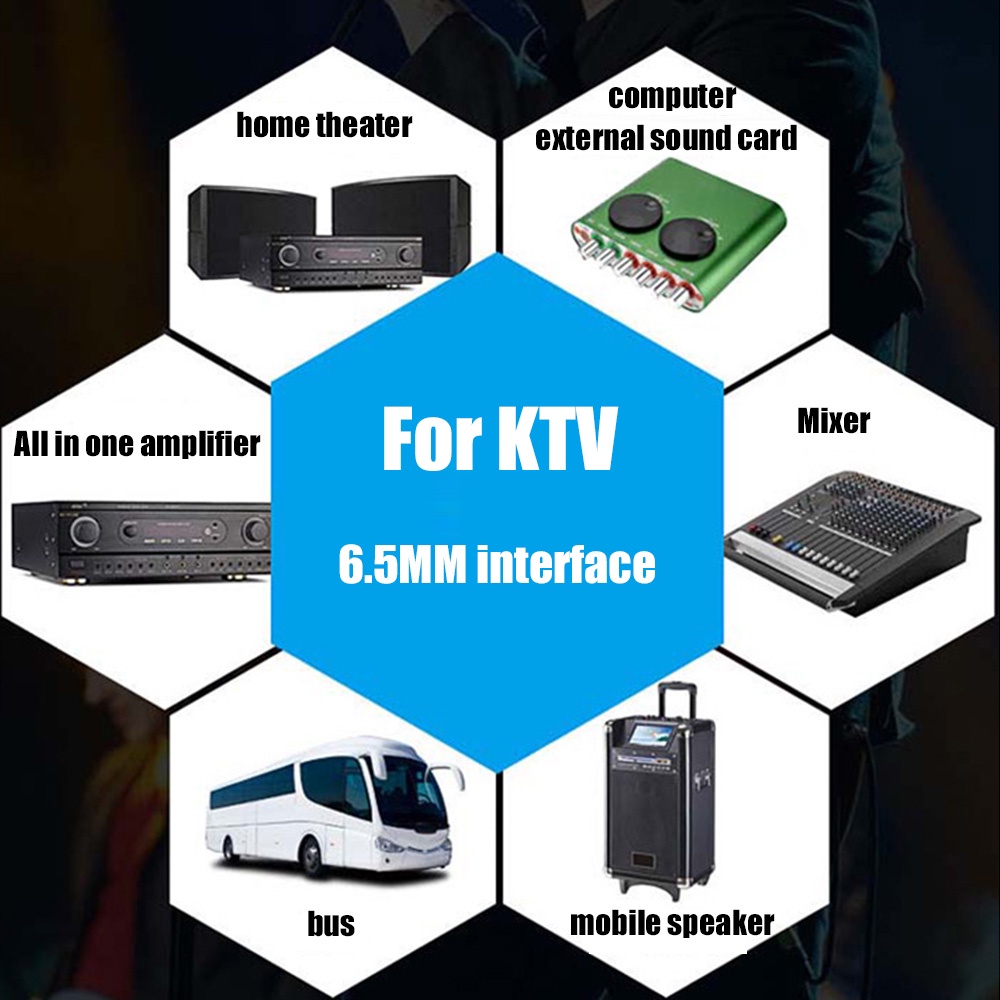 Micro Chuyên Nghiệp Có Dây Kim Loại 6.5mm Kết Nối Máy Tính