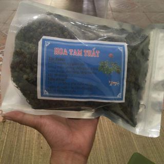 Nụ tam thất bao tử