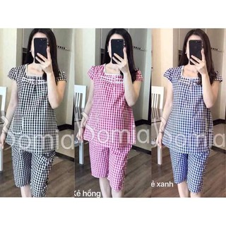 Bộ bầu lửng( ảnh thật)