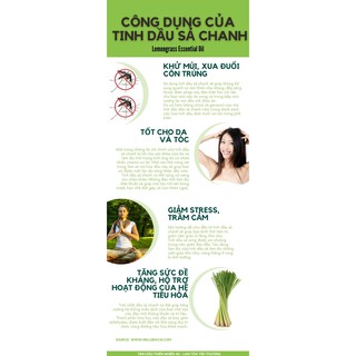 TINH DẦU THIÊN NHIÊN 4U - 10ML