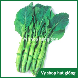 Hạt giống cải làn (cải rổ) thân mập Thái Lan gói 1100 hạt