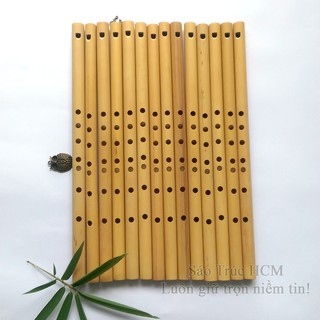 Sáo dọc HCM8