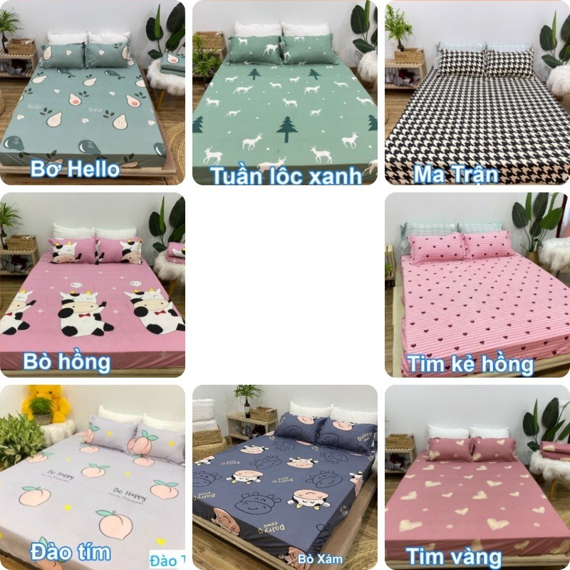 Ga Trải Giường Poly Cotton M6/M8 Nhiều Mẫu Tùy Chọn Có kèm 2 vỏ gối