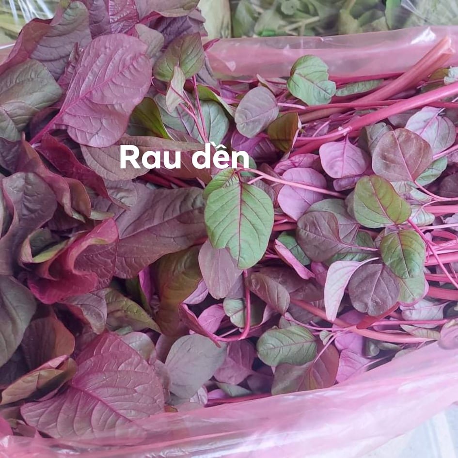 Rau Dền Vườn Trồng Sạch 1kg Q12 Giao HCM