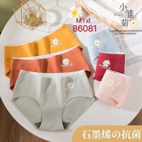 Combo 5 Quần Lót Nữ Thêu Hoa Cúc Chất Liệu Thun Cotton Kháng Khuẩn Mềm Mại - Vạn Xuân shop