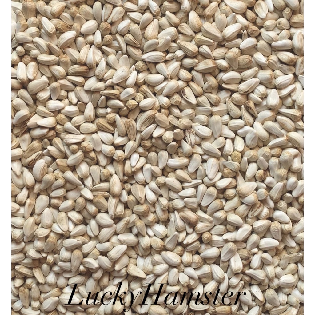 Hạt kham cho Hamster 1kg