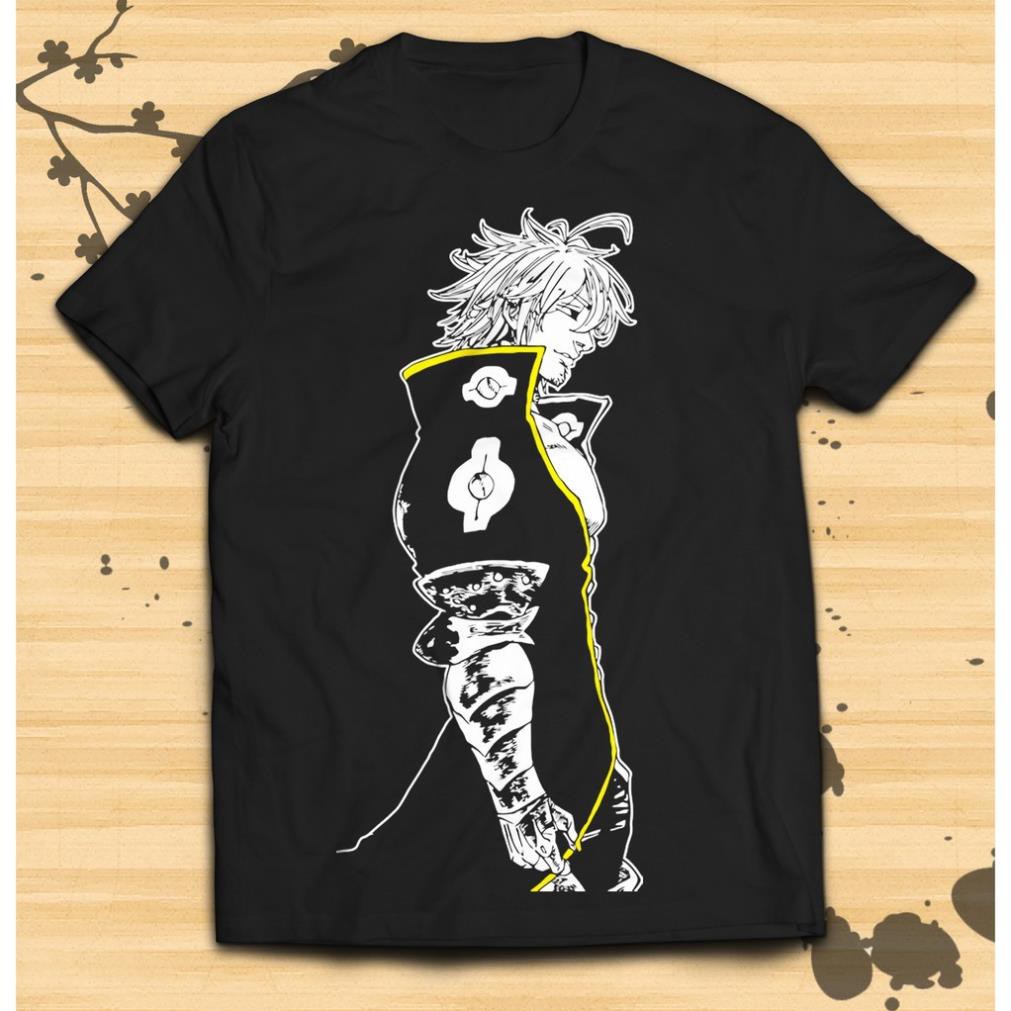 SALE 🔥 Áo Phông SEVEN DEADLY SINS ESTRASSORA mẫu mới cực chât