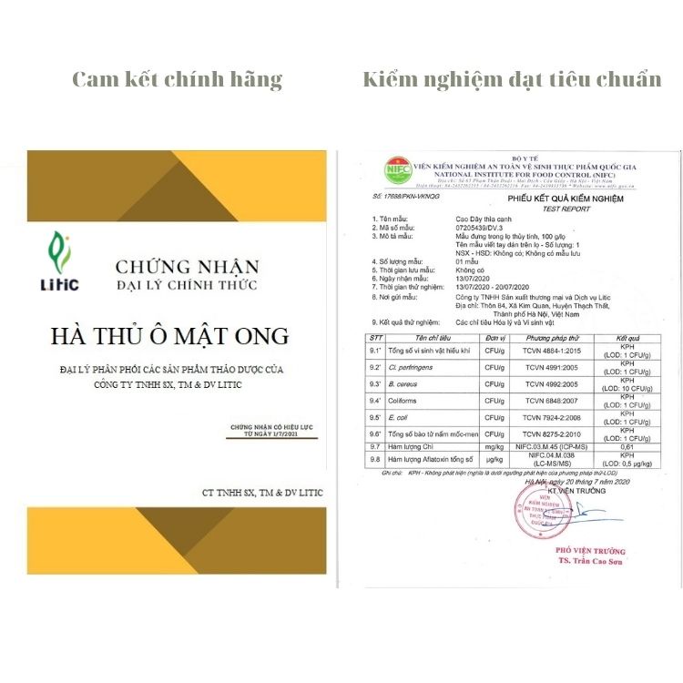 Cao dây thìa canh lá to Thực phẩm cho người tiểu đường tuýp 1, tuýp 2 , giảm mỡ máu , cây thìa canh LITIC 100g