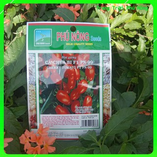 Hạt Giống Cà Chua Bi F1 PN-99 Phú Nông - Gói 0.1g - Cherry Tomato