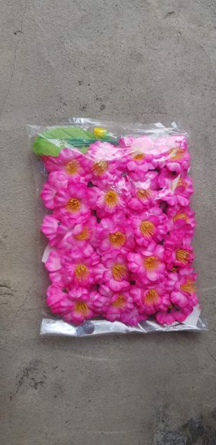 Đào mai bán theo túi 40 bông/ 1 túi