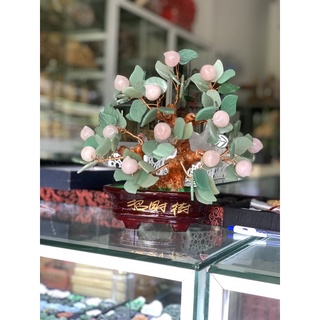 Cây đào thach_anh hồng 25cm