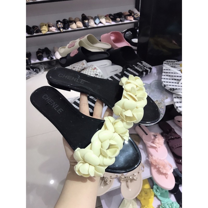 LÊ NHỰA HOA TRÀ