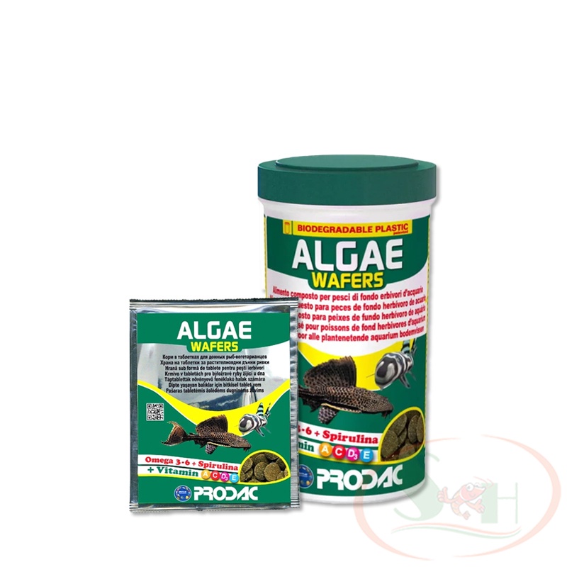 Thức ăn cá Prodac Algae Wafers giàu tảo chìm tầng đáy cho pleco, cá chuột, tép cảnh