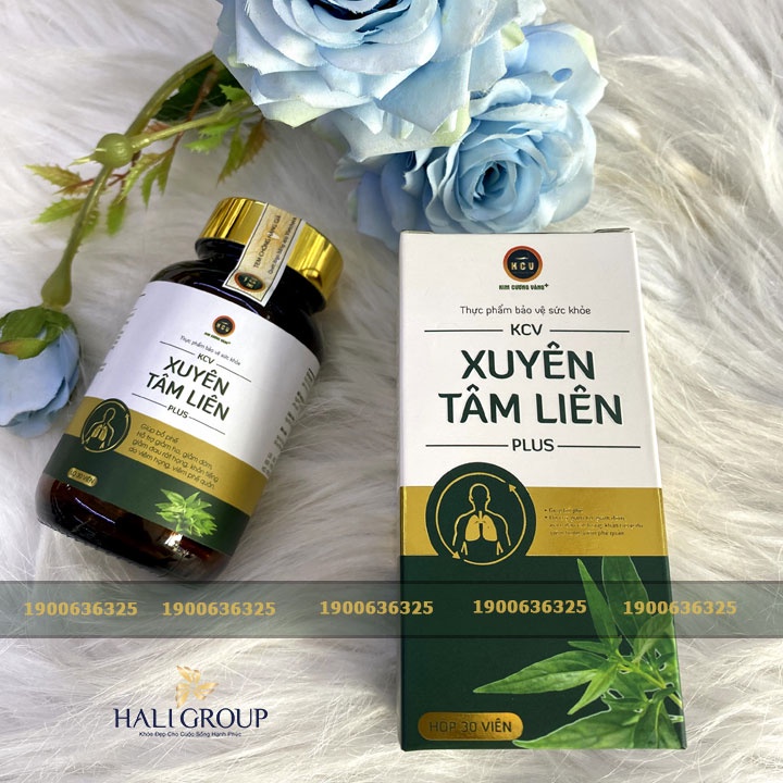 Viên Uống Bổ Phổi Xuyên Tâm Liên Kim Cương Vàng - Hộp 30 Viên