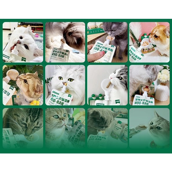 Súp thịt rau củ thức ăn cao cấp cho mèo M90-RAW PETKIT gói 80gram (MUA 14 TUÝP TẶNG MUỖNG)