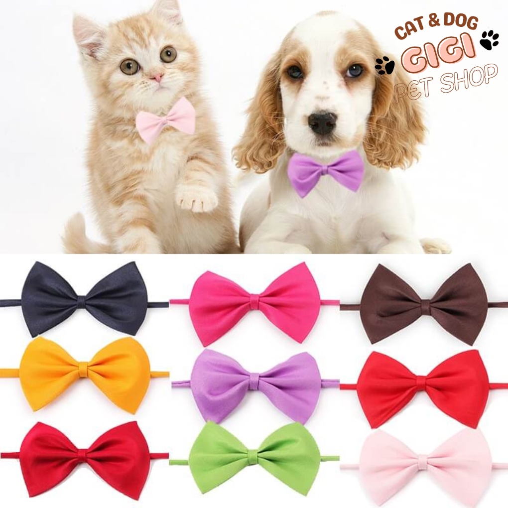 Vòng cổ hình nơ dễ thương nhiều màu có thể điều chỉnh kích thước phụ kiện cho thú cưng chó mèo - GiGi Pet Shop