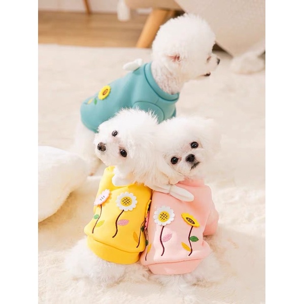 áo nỉ hoa hướng dương cho mùa lạnh dành cho chó mèo