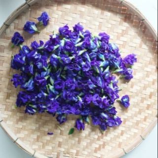 Trà hoa đậu biếc hoa đậu biếc khô
