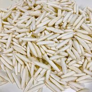 Bánh men sữa hình con sâu giòn tan 500g