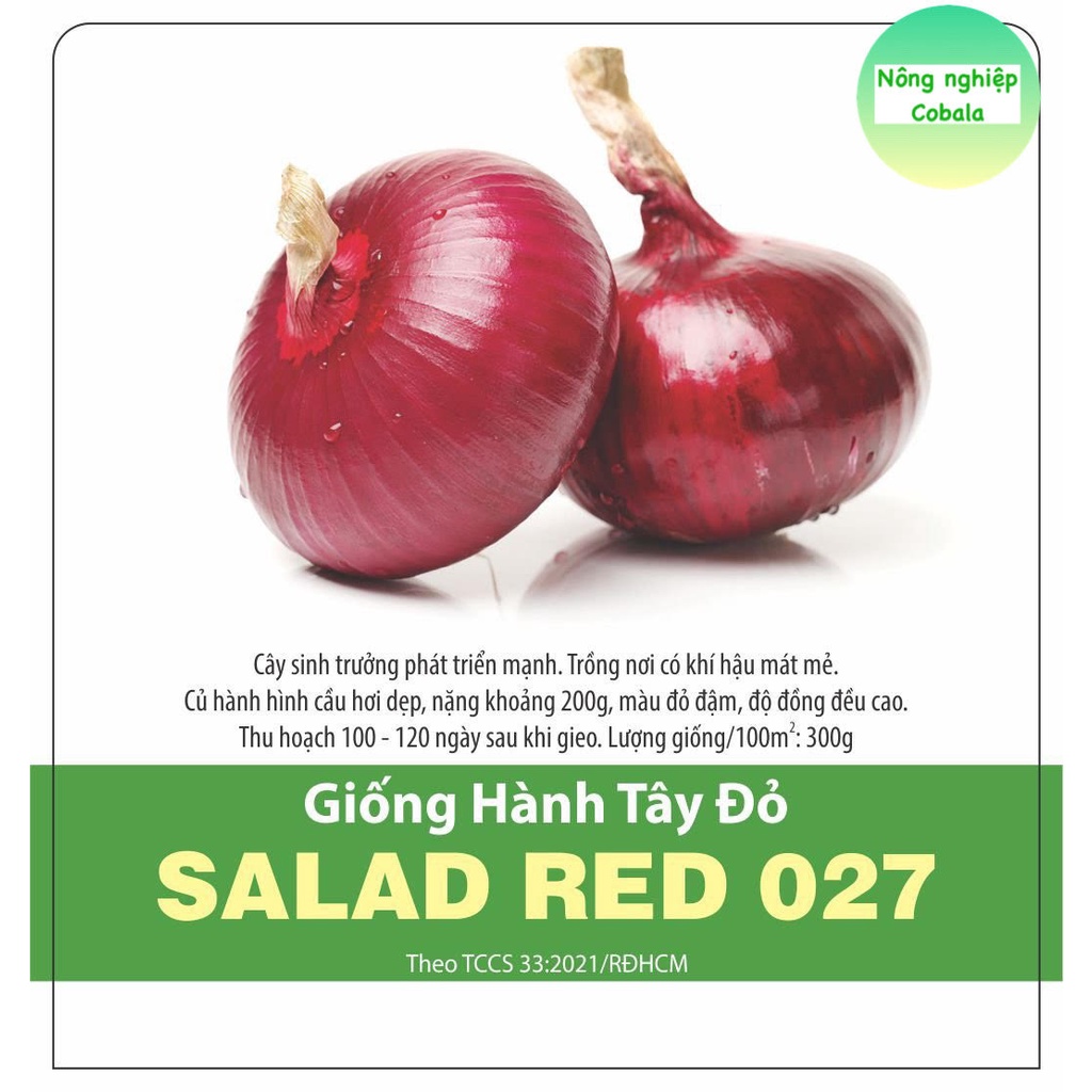 Hạt Giống Hành Tây Đỏ (SALAD RED 27) 2gr