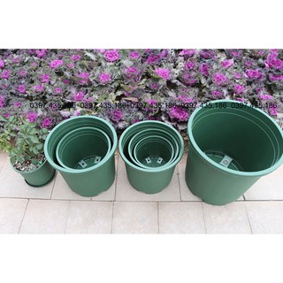 Chậu nhựa ABS siêu bền 7gl