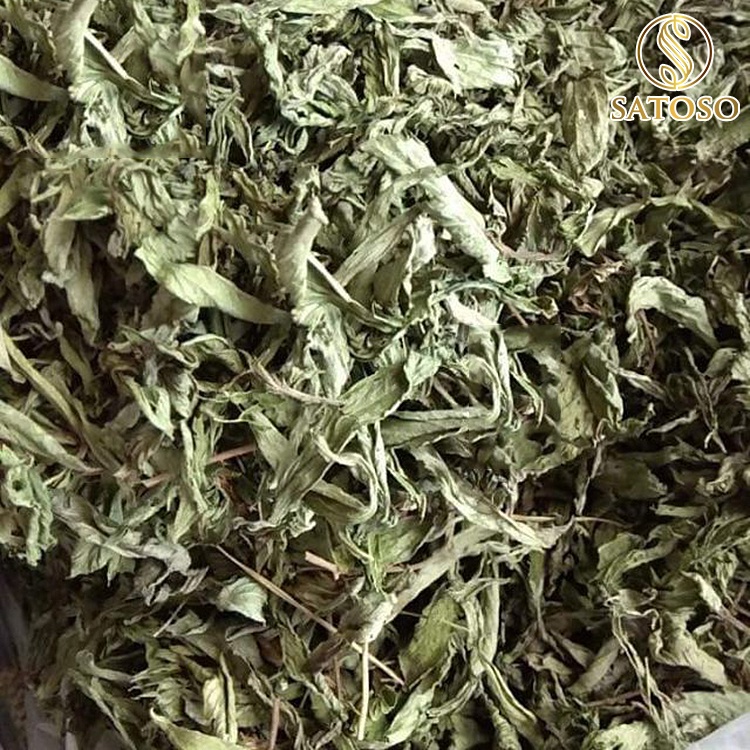 Trà cỏ ngọt SATOSO 1kg sấy khô hỗ trợ tiểu đường cao huyết áp SA18