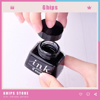 Mực Viết Máy Nhật Bản Pilot Ink 30 ml