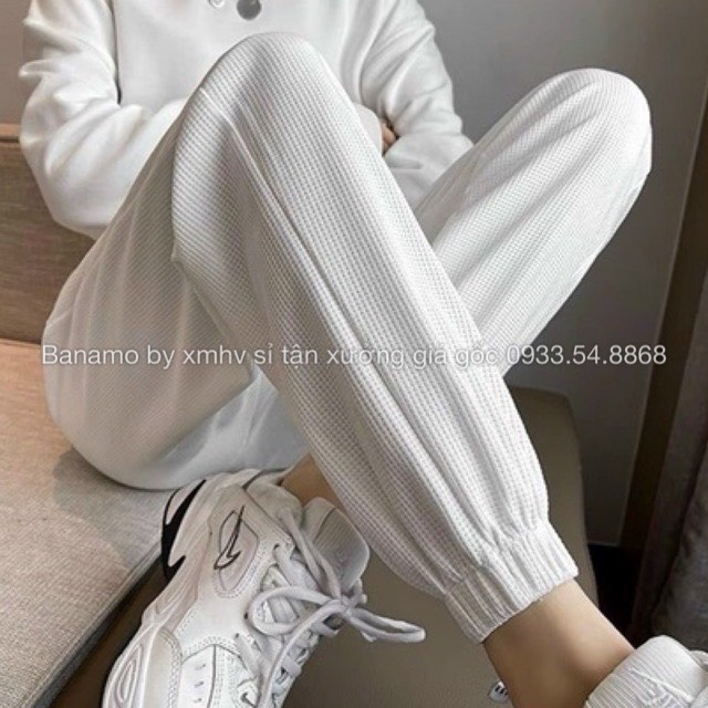 Quần jogger thể thao unisex nỉ tổ ong dày dặn phong cách Ulzzang thời trang Banamo Fashion 296