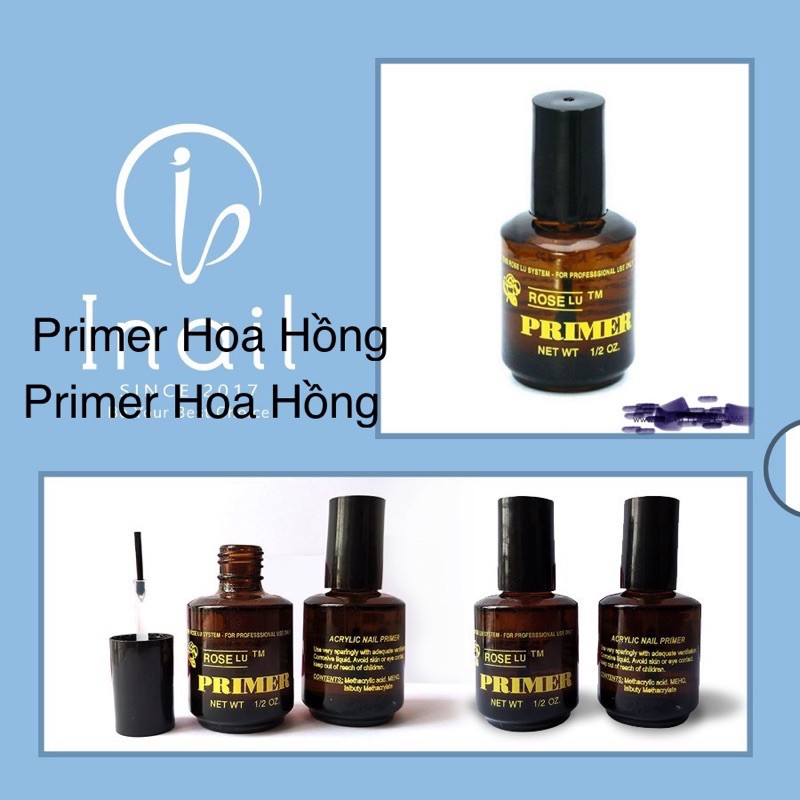 Primer Liên Kết Bột Hàng Chuẩn