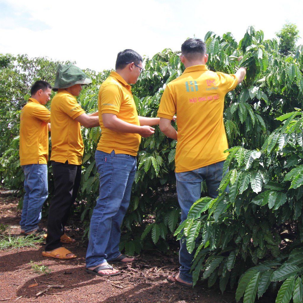 Cà phê rang mộc Gu Vừa - sự kết hợp giữa hạt arabica và robusta -  Thương hiệu Họ Hồ