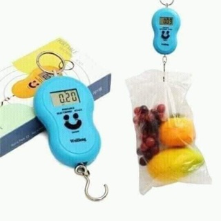 Cân móc điện tử mini