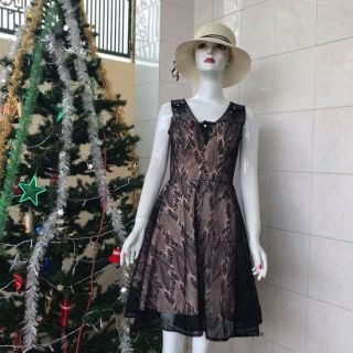 Combo 4 đầm của Mùa thu nắng