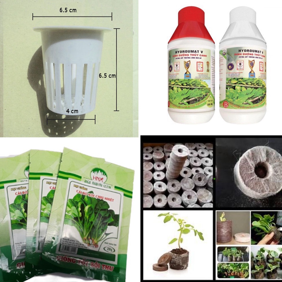 Combo Trồng Thủy Canh Tĩnh Đầy Đủ Cho Người Mới Bắt Đầu