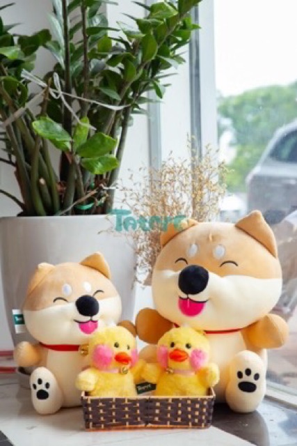 Chú chó shiba gấu bông