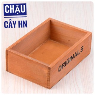 🔥Chậu gỗ Original trồng cây tiểu cảnh