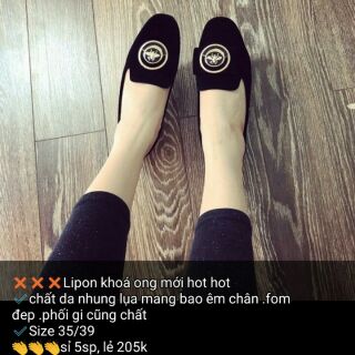 Combo Đôi slipon và bata ánh kim