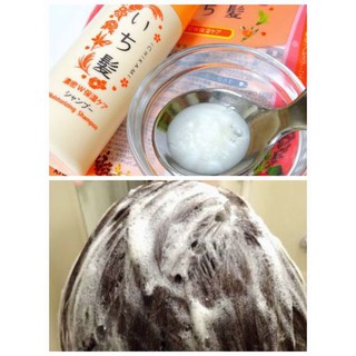 Bộ dầu gội Ichikami 530ml