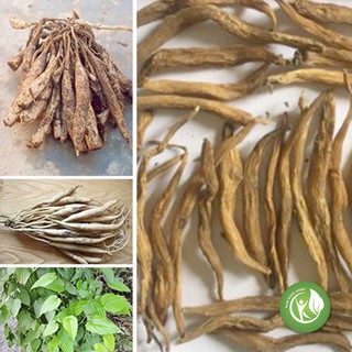 Củ Bách Bộ khô 1kg - ND104