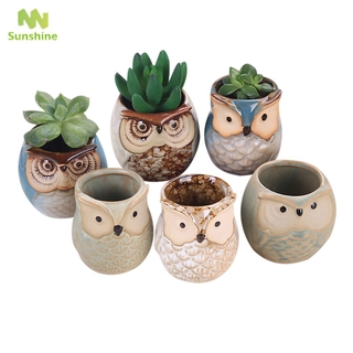 Bộ 6 Chậu Gốm Trồng Cây Hình Chim Cú Đáng Yêu