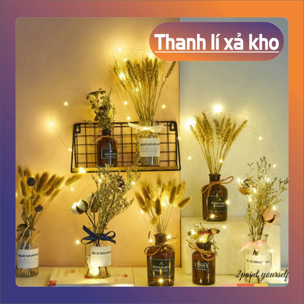 Lọ hoa thủy tinh phong cách Bắc Âu, bình bông đẹp trang trí hoa khô, hoa giả decor