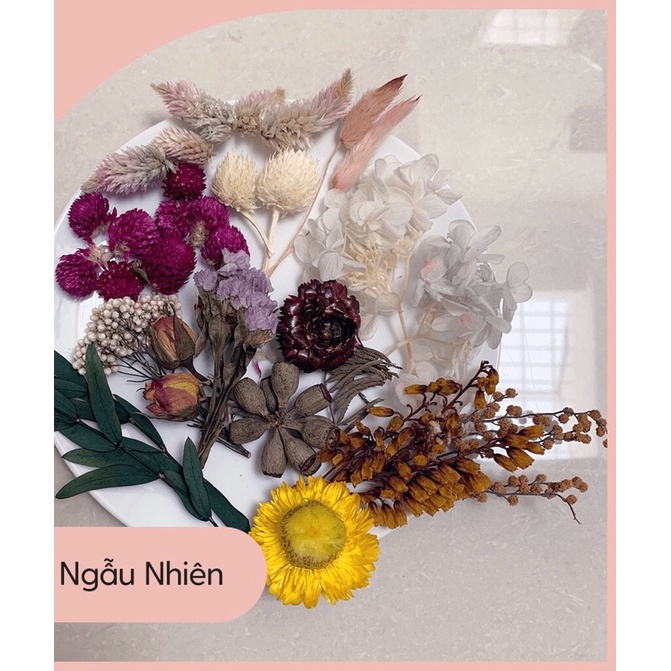 Hoa khoa chất lượng làm thiệp, trang trí, resin, decor, đồ handmade, cài tóc