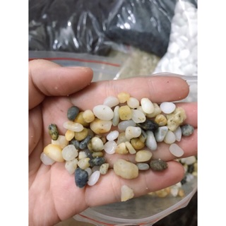 (Siêu Rẻ) Sỏi 3 màu trang trí tiểu cảnh,sân vườn,trải nền bể cá cảnh (1kg)