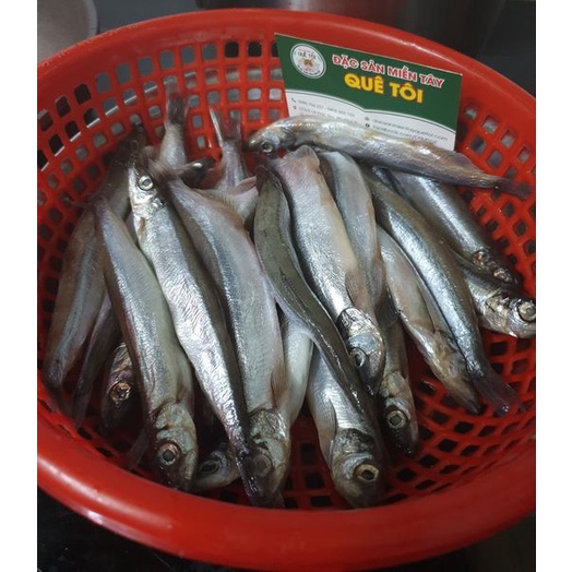 (CỰC RẺ) cá trứng Nauy khay 500gr full trứng ko mạ đá