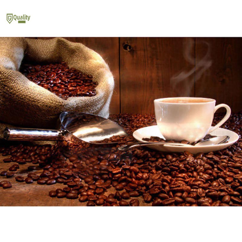 Muỗng múc đá inox 8/9/10/11/12/13 Inch