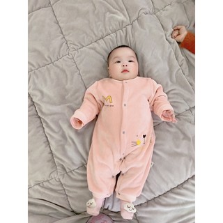 Body nỉ nhung QC